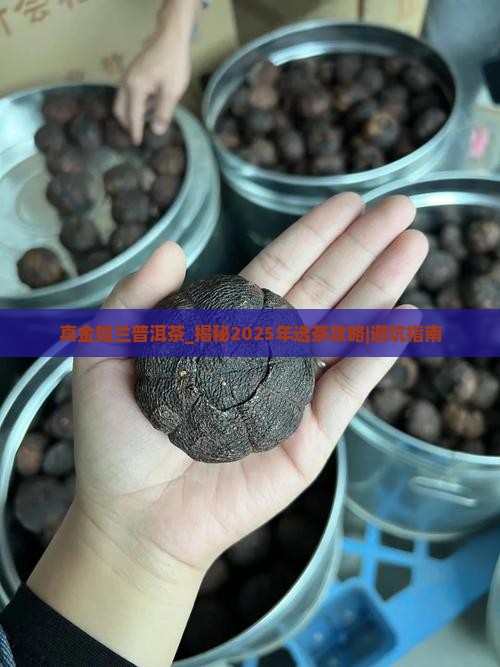 真金如兰普洱茶