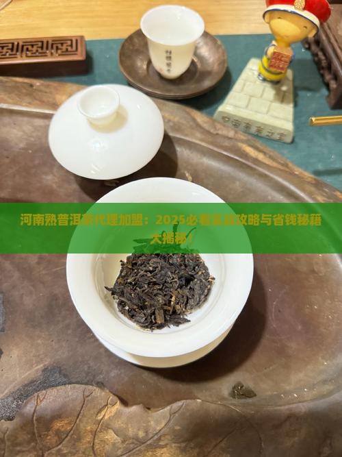 河南熟普洱茶代理加盟