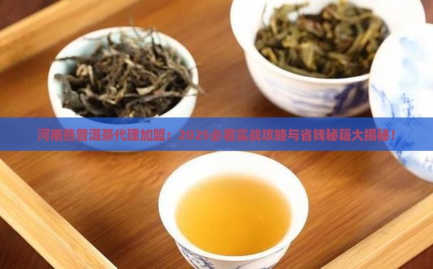 河南熟普洱茶代理加盟