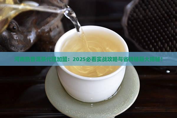 河南熟普洱茶代理加盟