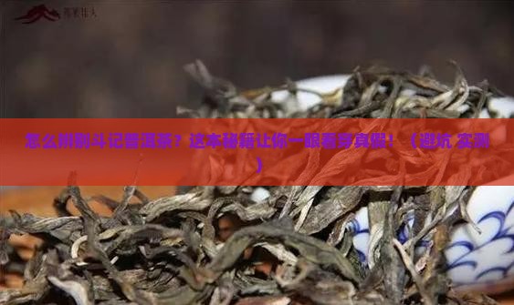 怎么辨别斗记普洱茶