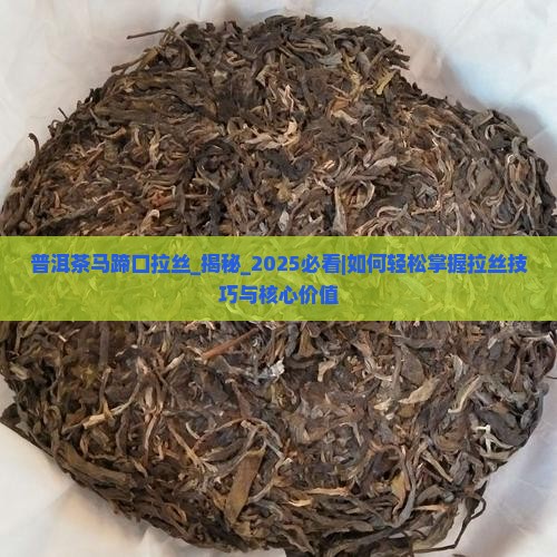 普洱茶马蹄口拉丝