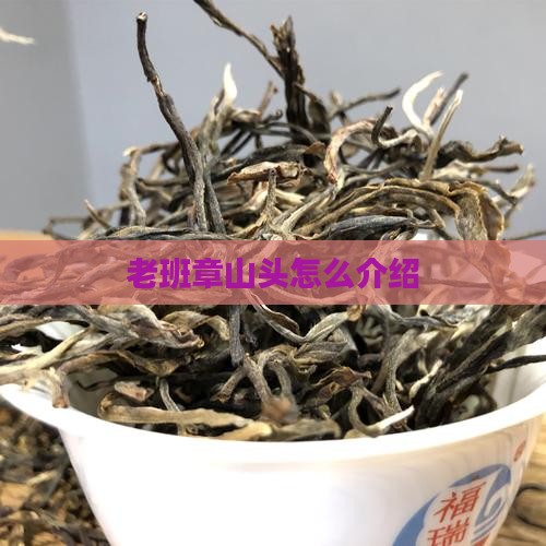 老班章山头怎么介绍