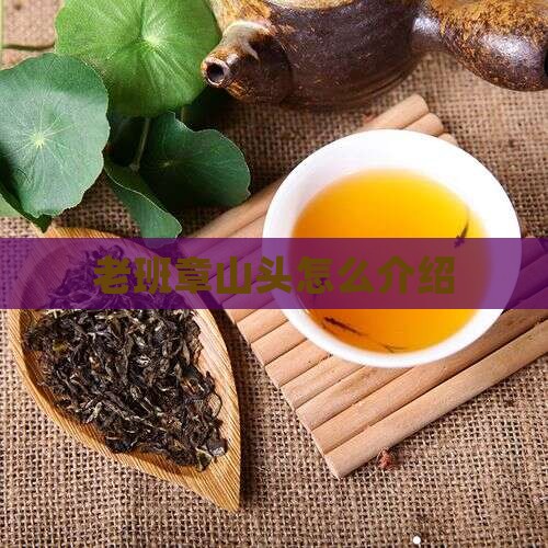 老班章山头怎么介绍
