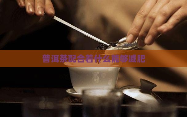 普洱茶配合着什么能够减肥