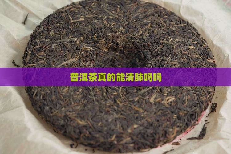 普洱茶真的能清肺吗吗