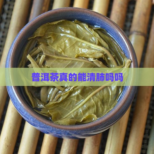 普洱茶真的能清肺吗吗