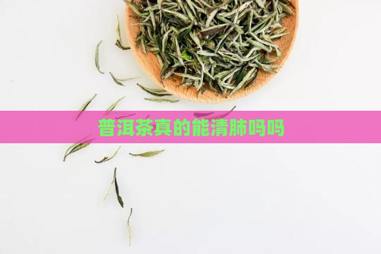普洱茶真的能清肺吗吗