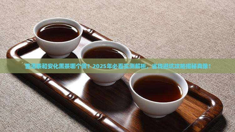 普洱茶和安化黑茶哪个贵
