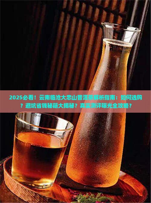 云南临沧大忠山普洱茶