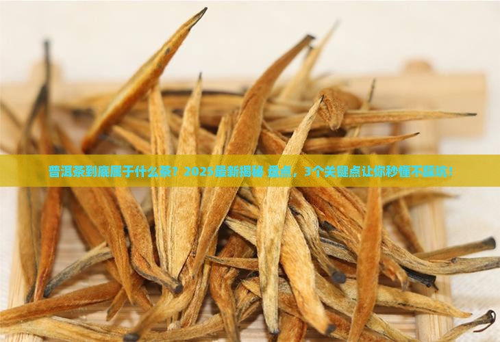 普洱茶属于什么茶6