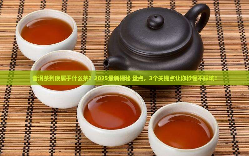 普洱茶属于什么茶6