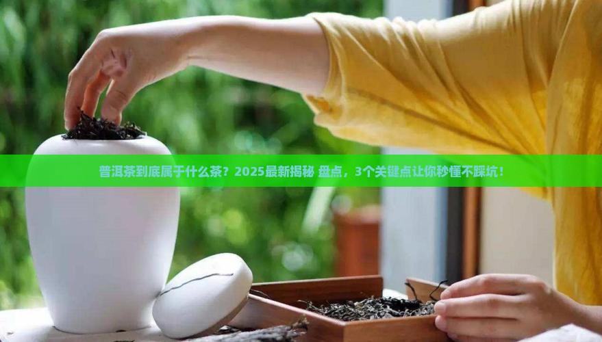 普洱茶属于什么茶6