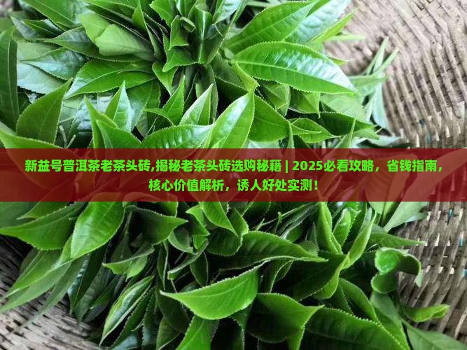 新益号普洱茶老茶头砖