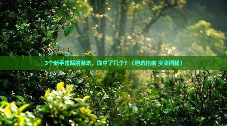 绿茶白茶普洱茶黑茶岩茶