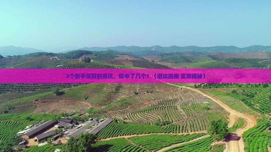 绿茶白茶普洱茶黑茶岩茶