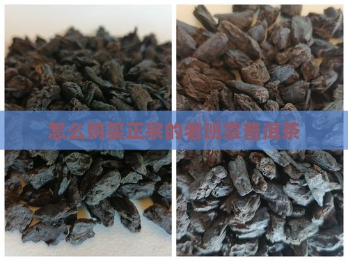 怎么买当年的老班章