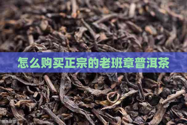 怎么买当年的老班章
