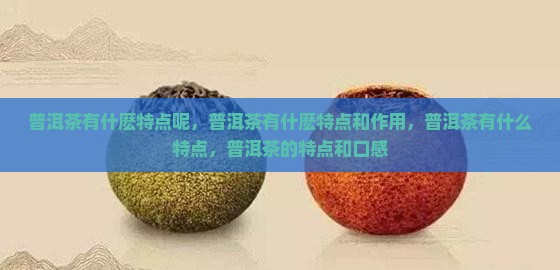 普洱茶有什麽特点 普洱茶有什麽特点