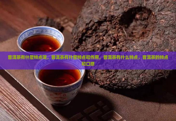 普洱茶有什麽特点 普洱茶有什麽特点