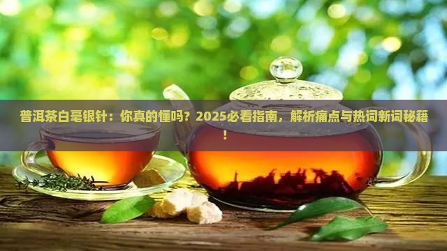 普洱茶白毫银针