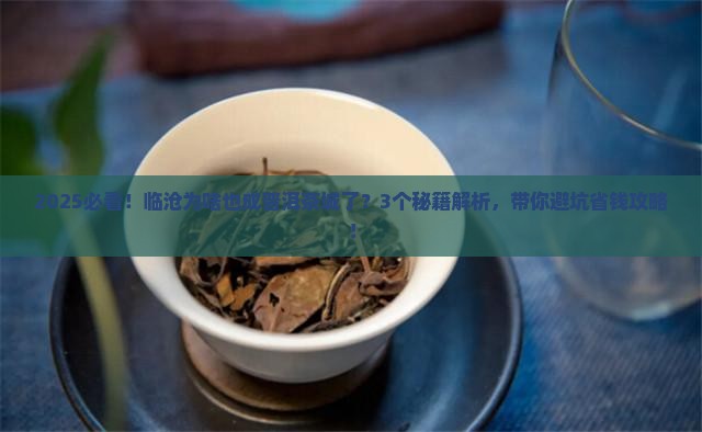 临沧为啥也是普洱茶城了