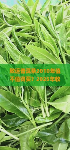 致远普洱茶2010年