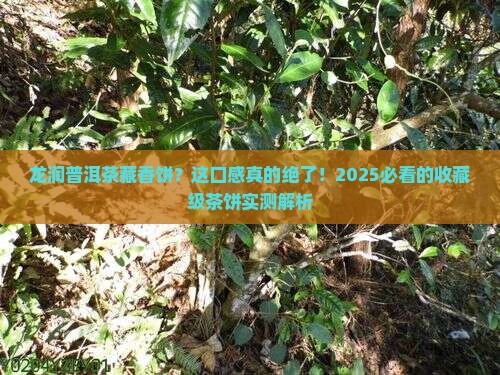 龙润普洱茶藏香饼
