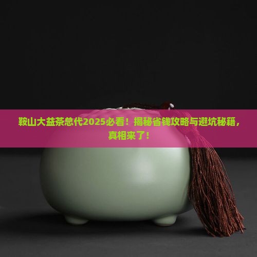 鞍山大益茶总代