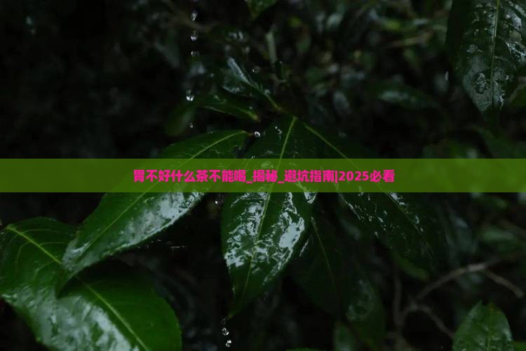 胃不好什么茶不能喝