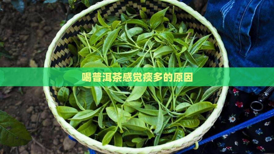 喝普洱茶感觉痰多了