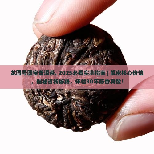 龙园号圆宝普洱茶