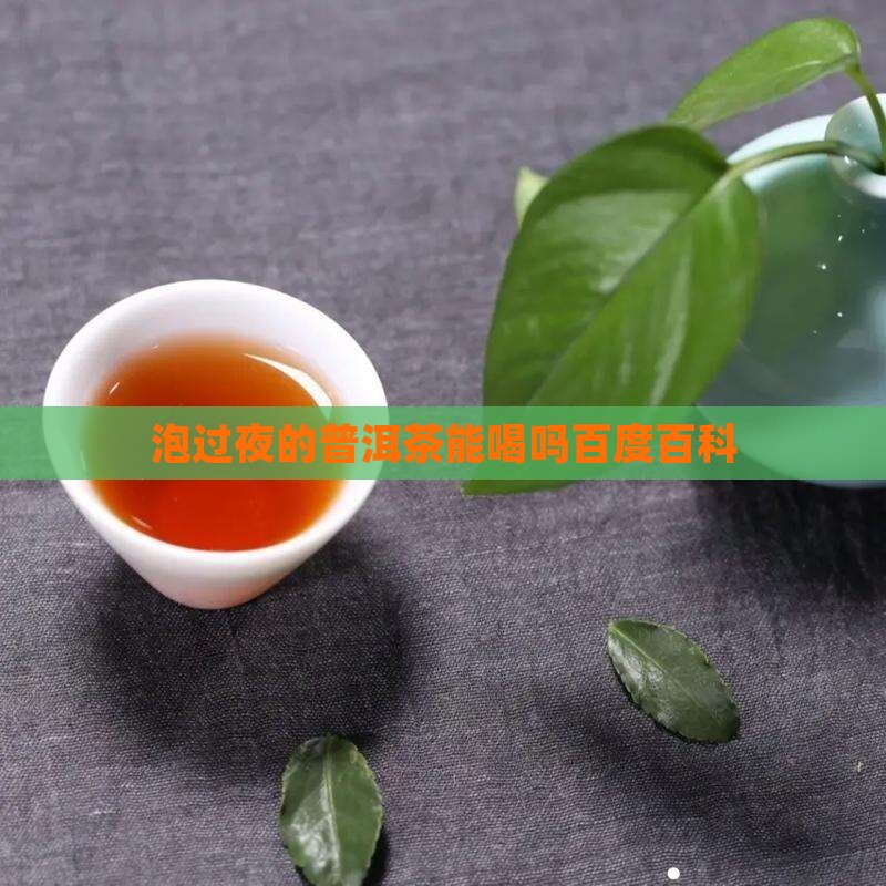 泡过夜的普洱茶能喝吗百度百科