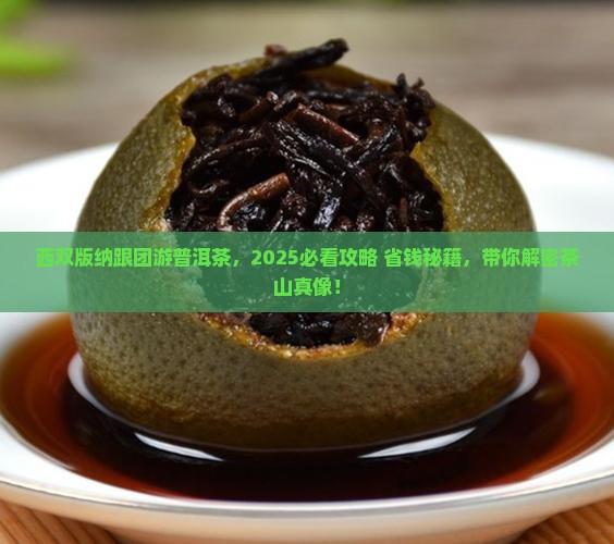 西双版纳跟团游普洱茶 西双版纳跟团游普洱茶