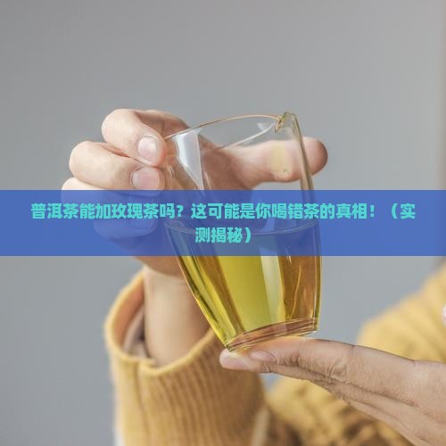 普洱茶能加玫瑰茶吗