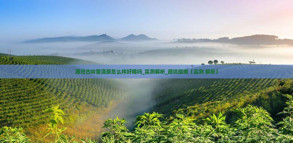 澜沧古岭普洱茶怎么样好喝吗