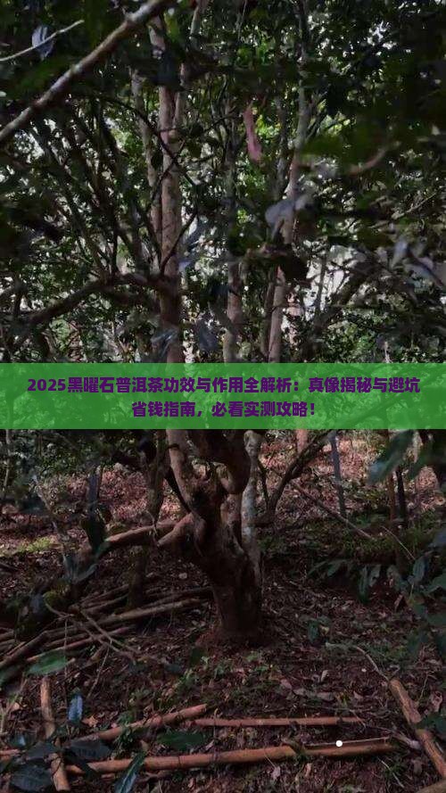 黑曜石普洱茶功效与作用