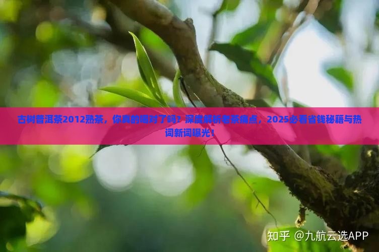 古树普洱茶2012熟茶