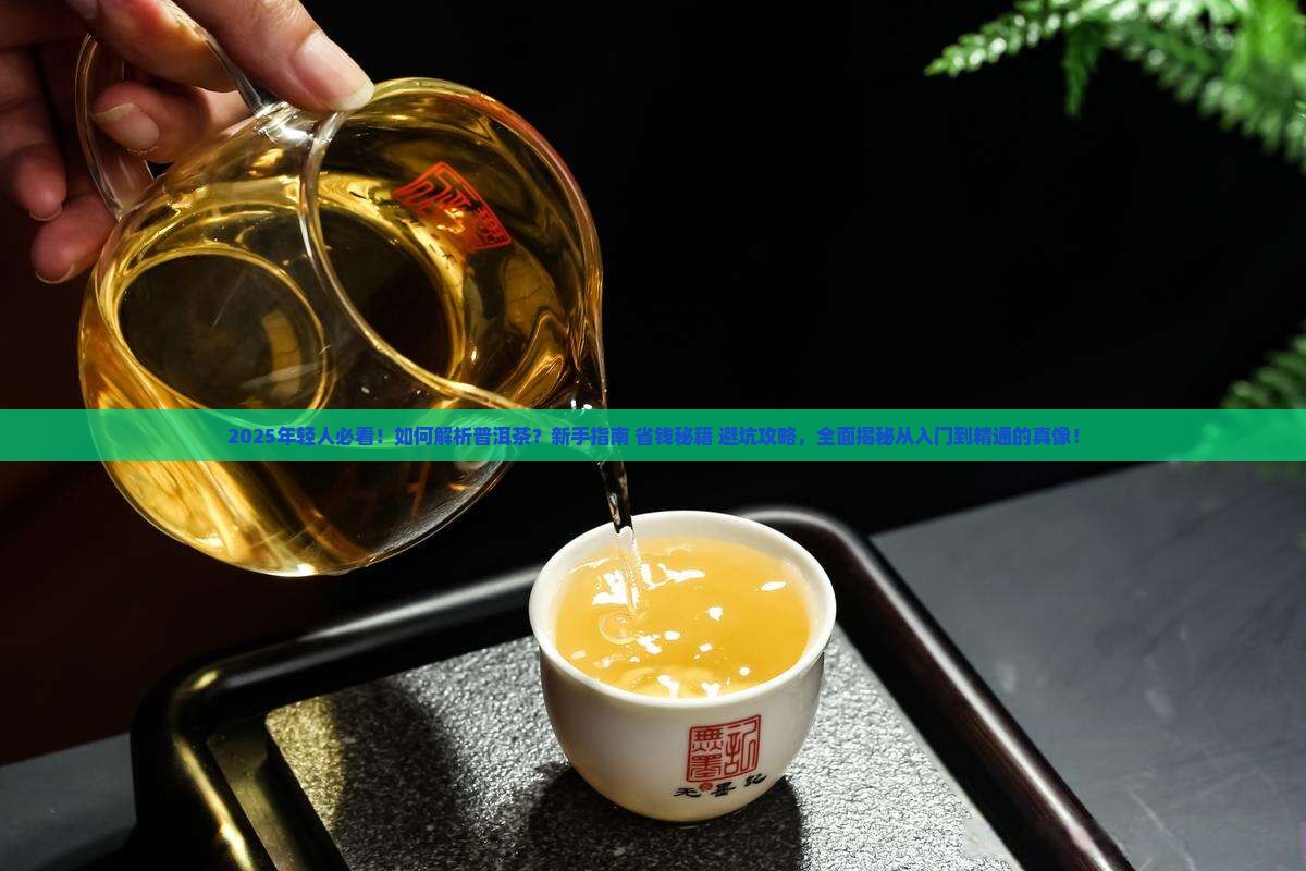 年轻人怎么做普洱茶