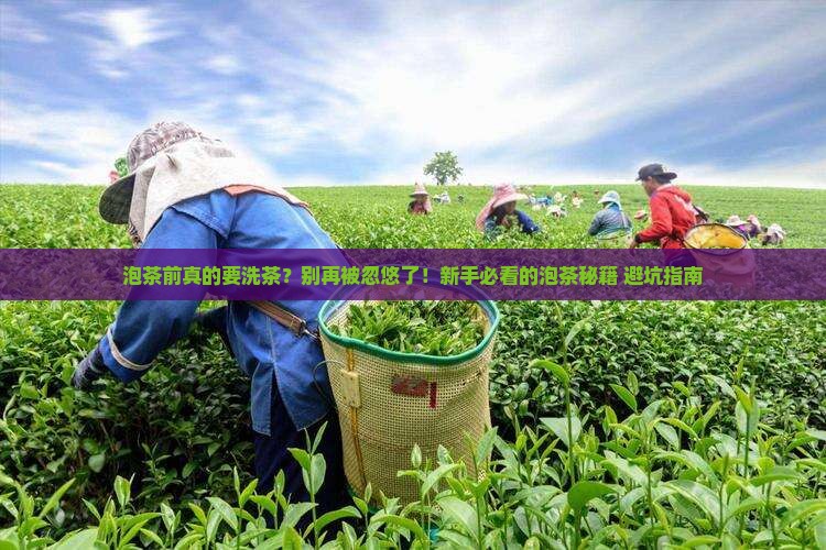 如何泡茶泡茶前为什么要洗茶