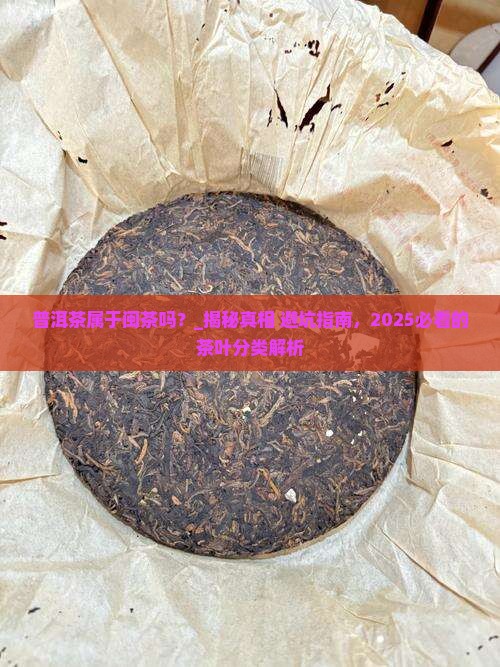 普洱茶属于闽茶吗