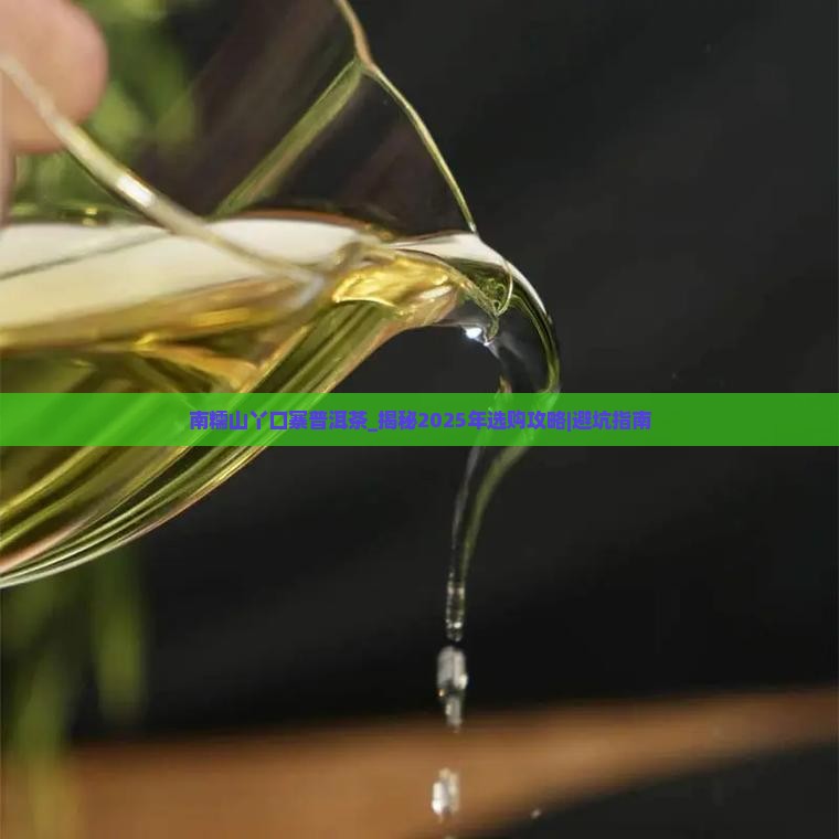 南糯山丫口寨普洱茶