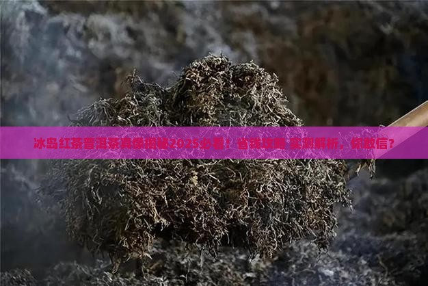 冰中岛冰岛红茶普洱茶官网