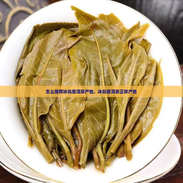 怎么推荐冰岛普洱茶产地