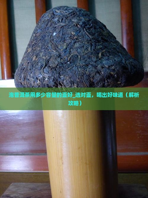 泡普洱茶用多少容量的壶好
