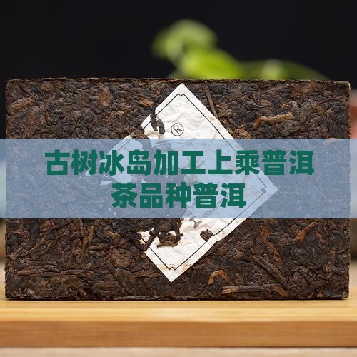 茶东家600年古树冰岛