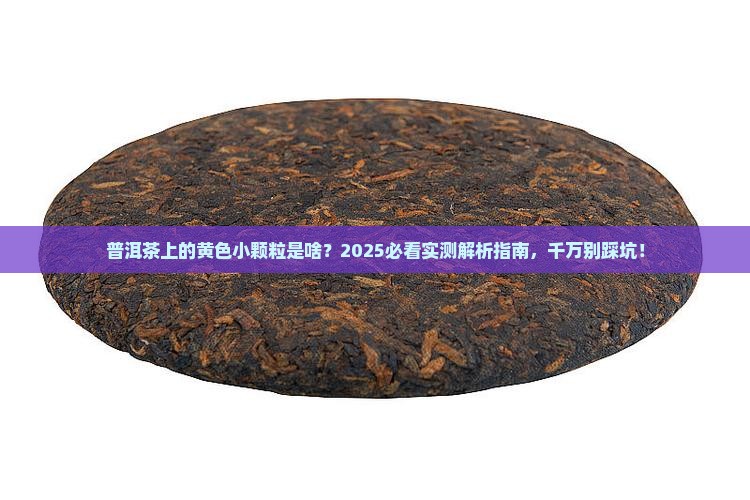 普洱茶上面有黄色小颗粒还能喝