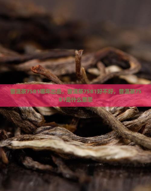 普洱茶7581哪年出品