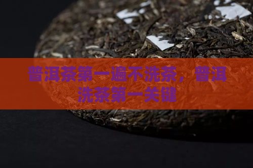 普洱茶第一遍不洗
