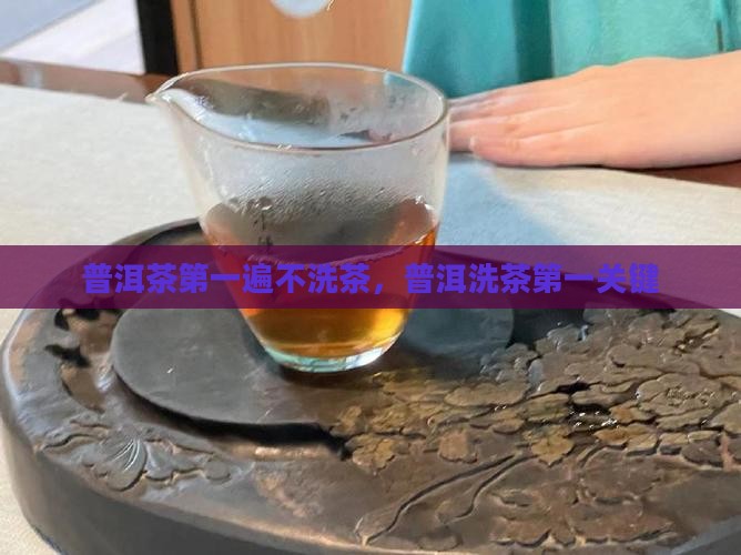 普洱茶第一遍不洗